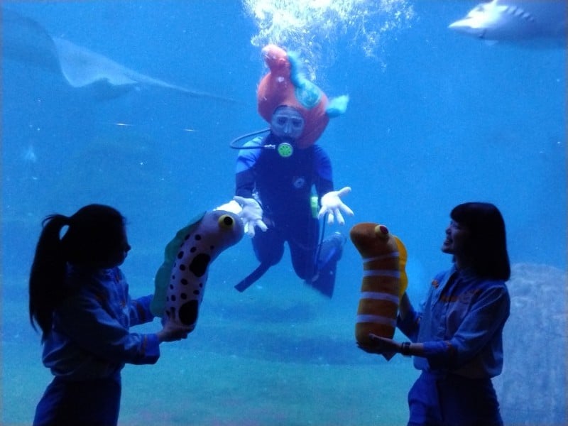 海洋公園「金海馬」亮相迎新春