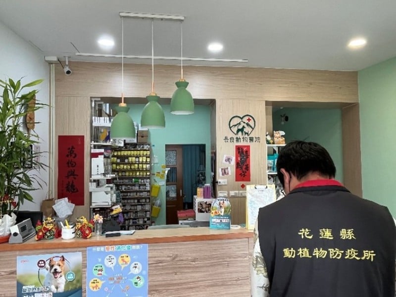 春節連假安心過 花蓮縣「毛孩醫療看診」資訊一次看