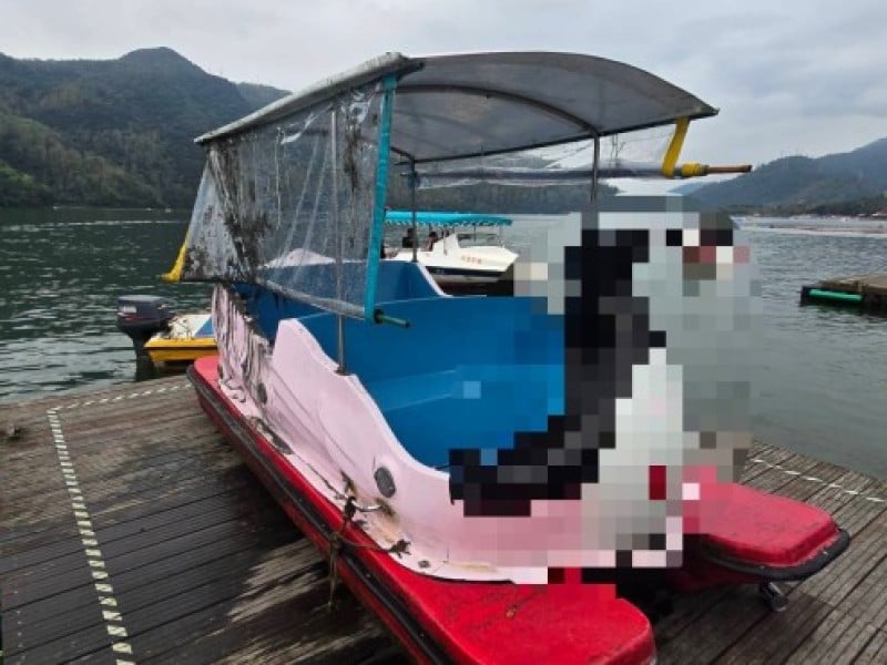 鯉魚潭天鵝船翻覆5人落水一男童不治