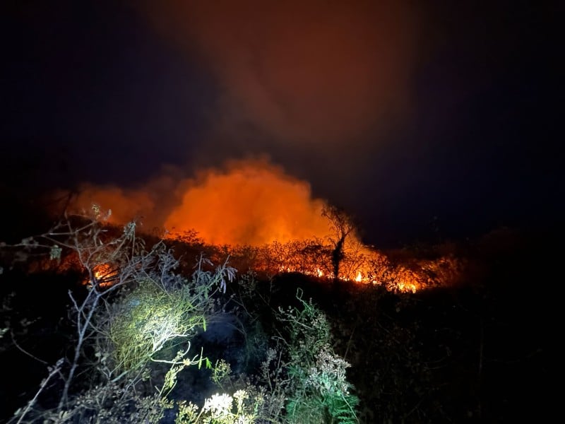 大批警義消徹夜搏鬥、出動空勤直升機 ! 知本捷地爾雜草 延燒61公頃