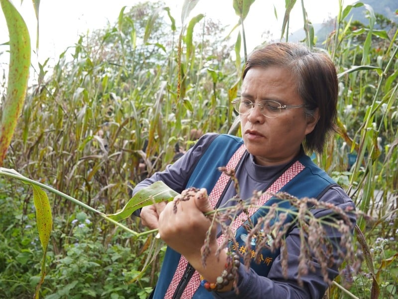 秀林鄉選情傳現任鄉長將轉換跑道選議員其夫選鄉長說法