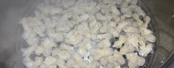 山海交織的掌心溫度：揭開馬祖手工魚餃「薄如蟬翼」的美味祕密