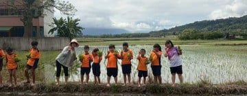 赤腳踏入泥濘水田 ! 大禹國小學童體驗「插秧」