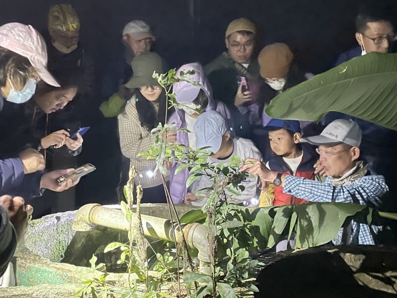 「螢光悄悄話」3/13起開放報名