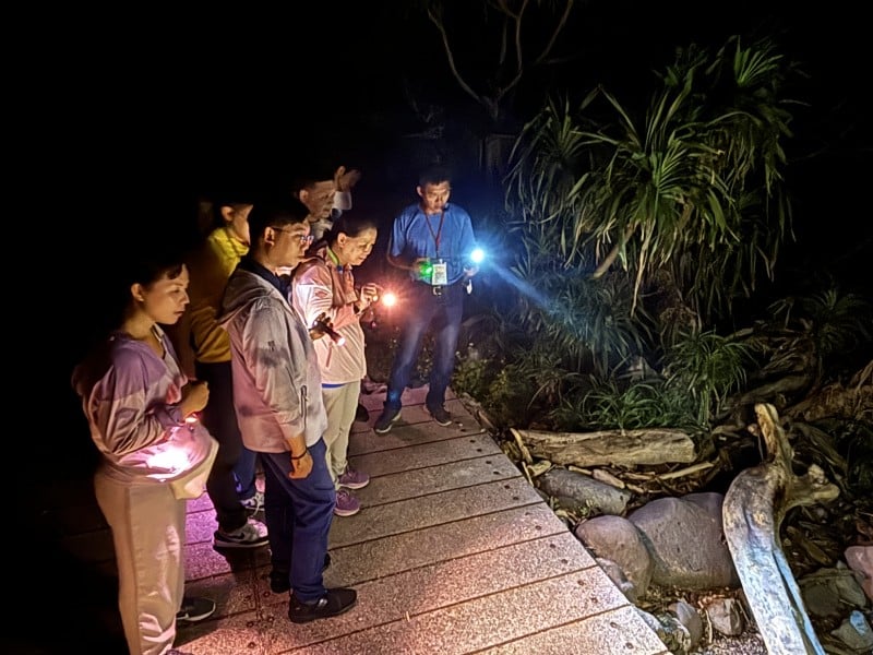 「夜探三仙台」4/1起正式登場 !  在地專業解說員帶領 距離觀察寄居蟹、蛙類等生物