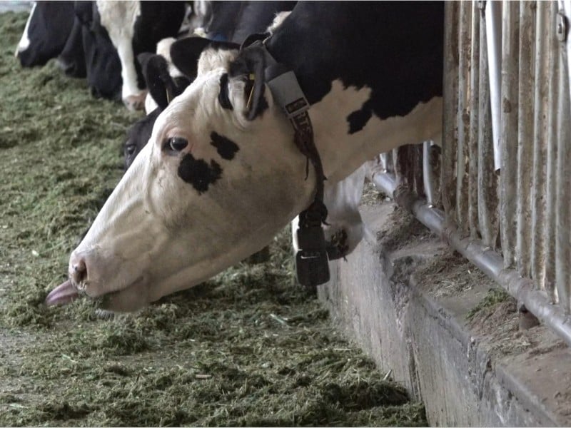 瑞穗鄉「農林漁牧業普查所」今掛牌 ! 將訪查2千餘戶