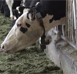 瑞穗鄉「農林漁牧業普查所」今掛牌 ! 將訪查2千餘戶