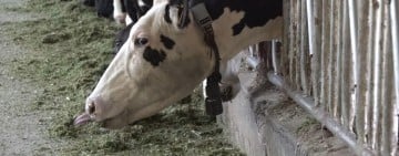 瑞穗鄉「農林漁牧業普查所」今掛牌 ! 將訪查2千餘戶