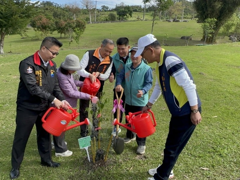 竹田村「天使之眼大草原」今栽種近500棵山櫻花 