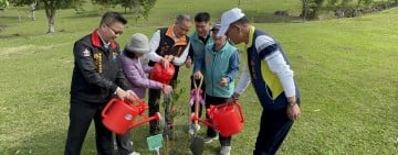 竹田村「天使之眼大草原」今栽種近500棵山櫻花 
