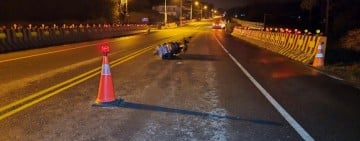 犬隻竄出道路釀事故 飼主應落實管理避免觸法