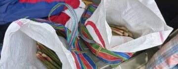 兩竊賊偷箭筍被抓個正著