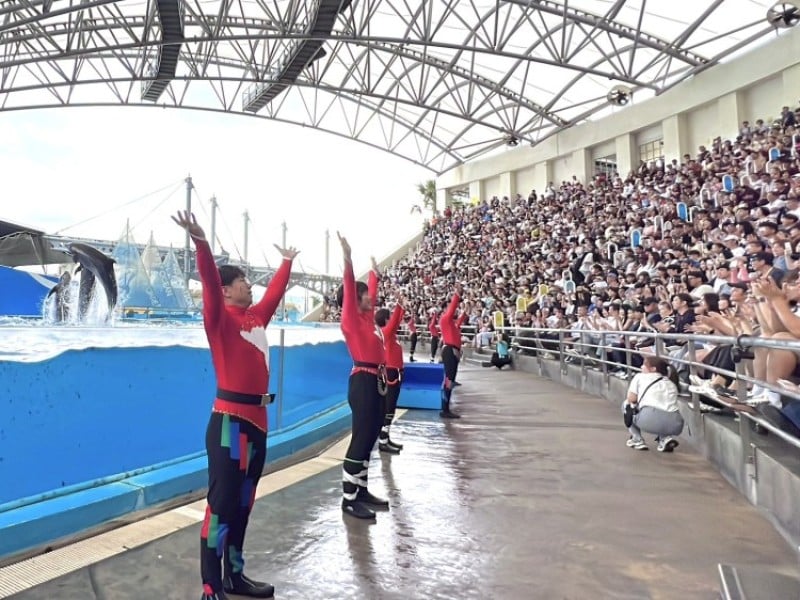 《跳浪奇緣》十年經典落幕 「海豚守護基地」即將登場