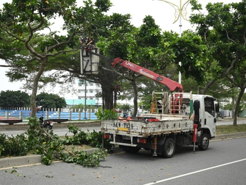 要變天了 花蓮市強化排水與修剪行道樹