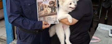 毛小孩「繫繩」一小步，安全一大步 ! 玉警全面提醒 : 飼主應確實落實