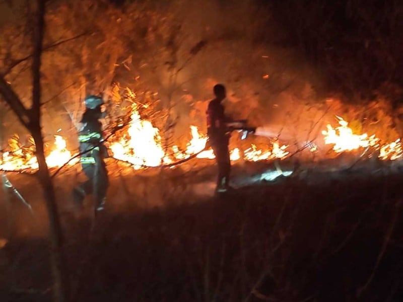 火燒知本濕地 ! 3公尺高灌木叢遮蔽 搶救困難燃燒約6公頃