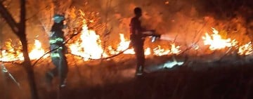 火燒知本濕地 ! 3公尺高灌木叢遮蔽 搶救困難燃燒約6公頃