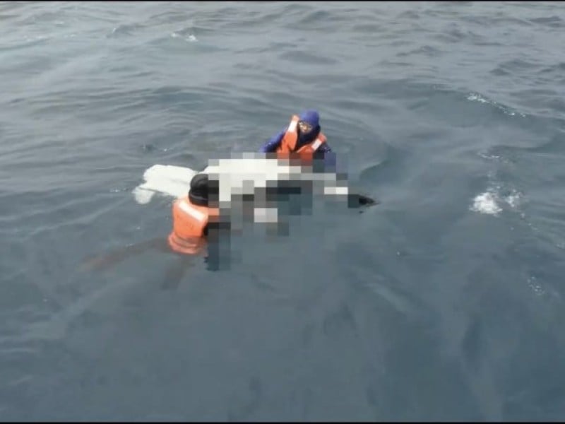 賞鯨船花蓮外海發現浮屍 身分仍待DNA確認