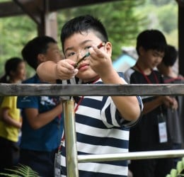 池南暑期營隊 即日開始報名