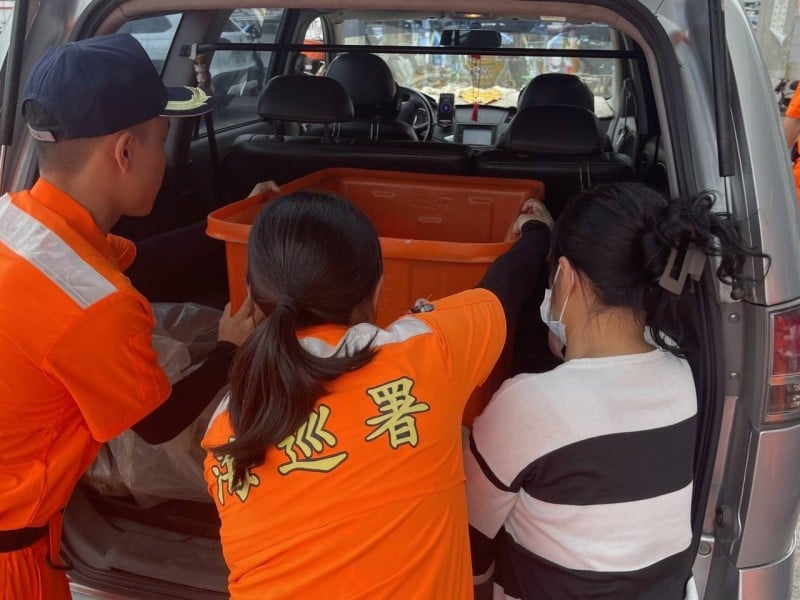 杉原灣海龜遭漁網纏繞　海巡即刻救援送醫保育