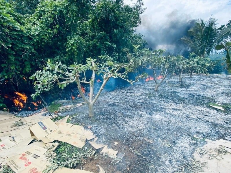 今年1-3月已發生81起雜草火警