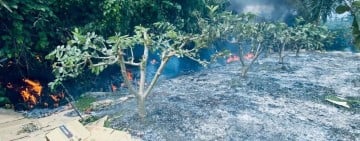 今年1-3月已發生81起雜草火警