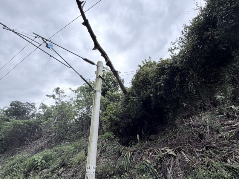 臺鐵山里=鹿野間因路樹傾倒影響 臺東=關山間啟動公路接駁