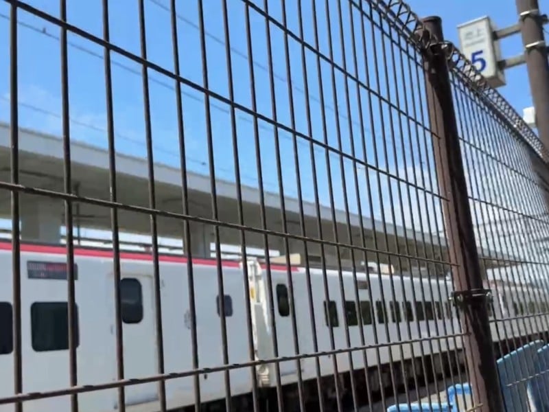 台鐵池上站事故「無法行車」啟動接駁 ! 貨物列車「溜逸出軌撞電線桿」、普悠瑪「勾到電車線」
