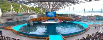 海洋公園「海豚守護基地」正式開幕