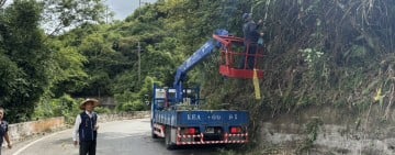 六十石山金針花綻放了 ! 全力整備迎花季 8/8邀您共賞「花開富玉」金黃色花海