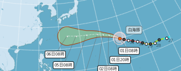 「高壓強弱」決定白海豚轉向 ! 回顧歷史颱風最愛「88父親節」