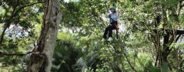 體驗森林冒險、友善農遊 感受花蓮永續旅遊魅力！