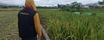 萬里溪堰塞湖農損專案補償 即日起受理申請