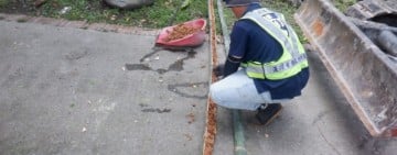 兩潭自行車道老榕樹完成支撐加固