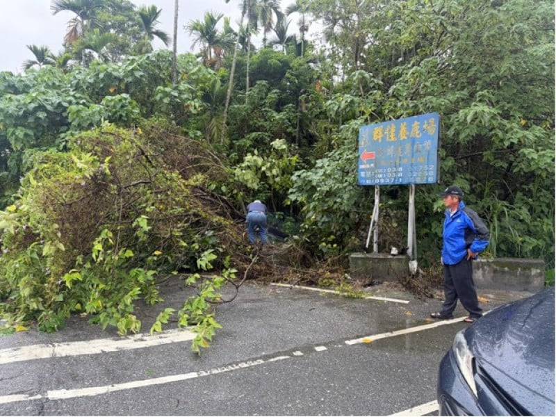 路樹倒塌影響道路通行 長橋警即時守望排除