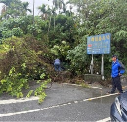 路樹倒塌影響道路通行 長橋警即時守望排除