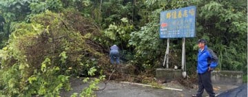 路樹倒塌影響道路通行 長橋警即時守望排除