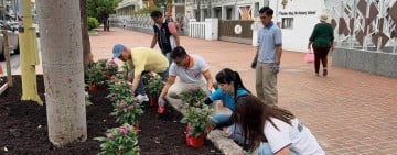在車水馬龍的市中心，為孩子留一方蝶舞花香：明義國小「招風引蝶」校門花圃暖心蛻變