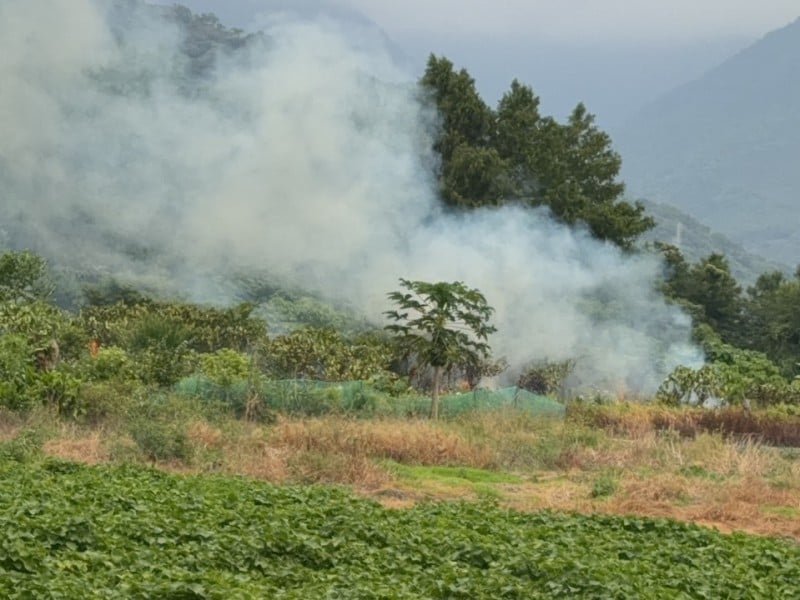 吉安上騰工商旁空地樹叢突竄火　民眾目擊冒煙起火原因待查