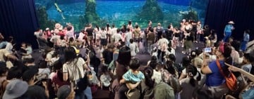 海洋公園美人魚嘉年華夢幻登場