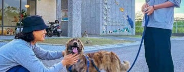 花蓮狗貓躍動園區推動體驗式送養 先相處再認養 陪毛孩找到真正適合的家   