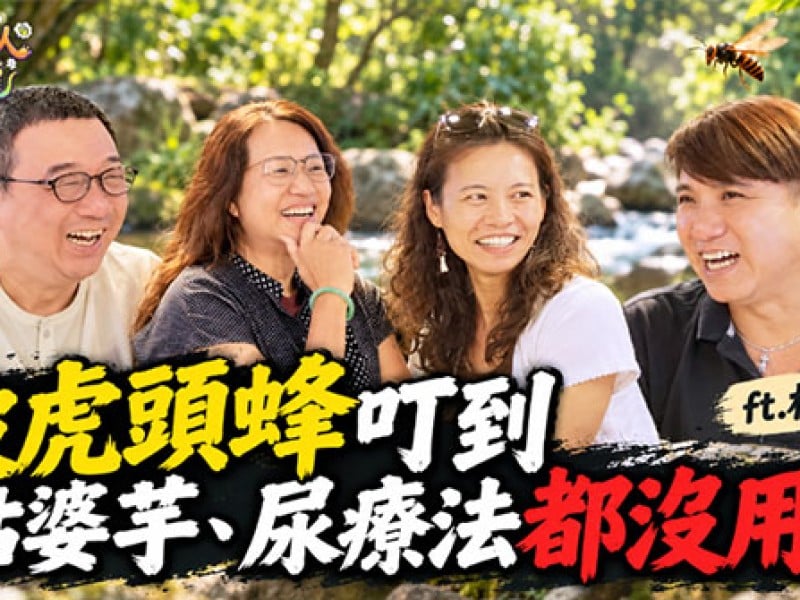 好心提醒有虎頭蜂反被叮！林盛火憶友人試偏方　越腫越大趕就醫