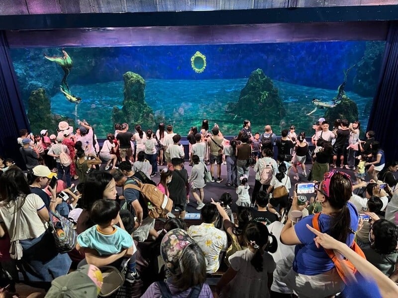 海洋公園05_5517f13260b5b9dc.jpg