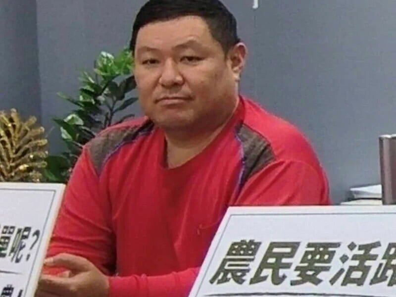 鳳梨釋迦0006_aa8c8.jpeg