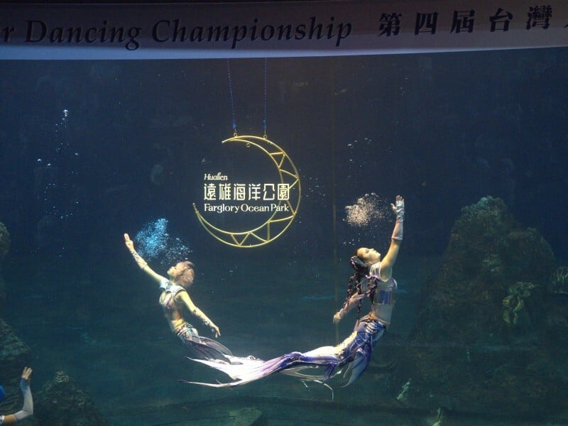 AA-1003054601602_4661a71db75ba9cc.jpg