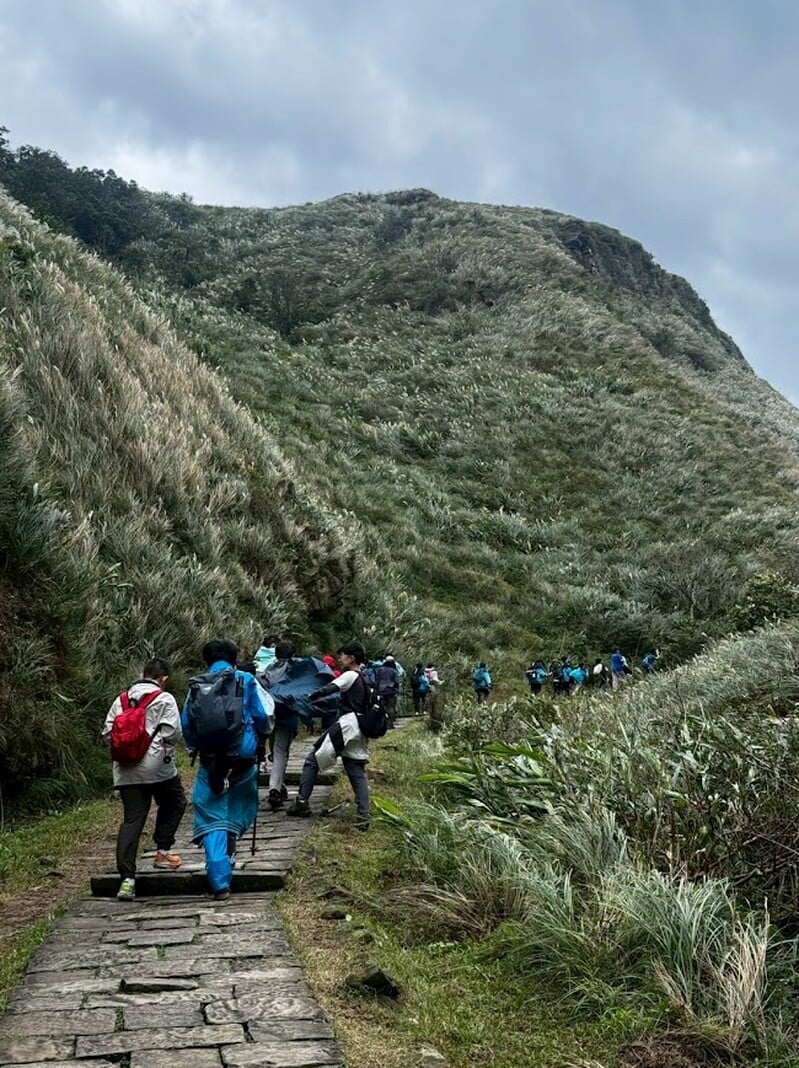 1141211-海星高中提供-草嶺古道芒草_0_ff613.jpg