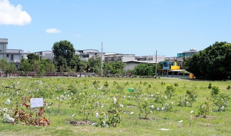 LINE_ALBUM_114.09.08_吉安鄉鬱金香芭樂果樹結實累累_游淑貞開辦果樹主人照護技能班_250909_1_d41e1.jpg