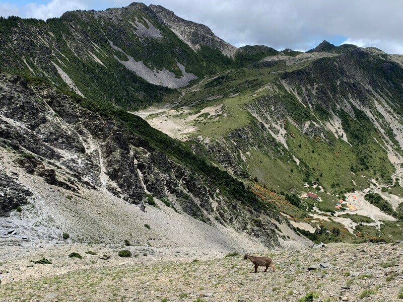 南湖群峰及南湖圈谷-遇見長鬃山羊保育志工張淑錦提供_0_86e42.jpg