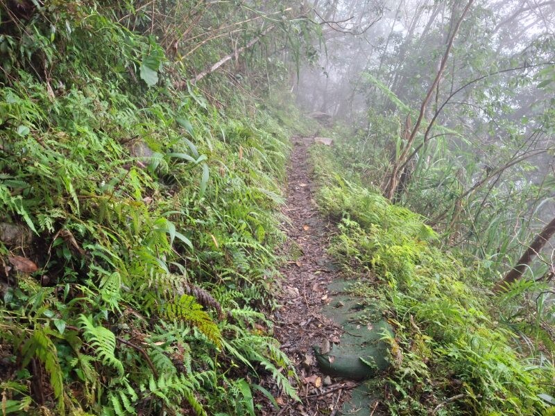 即將完成得卡倫同禮步道修復_0_5bcca.jpg