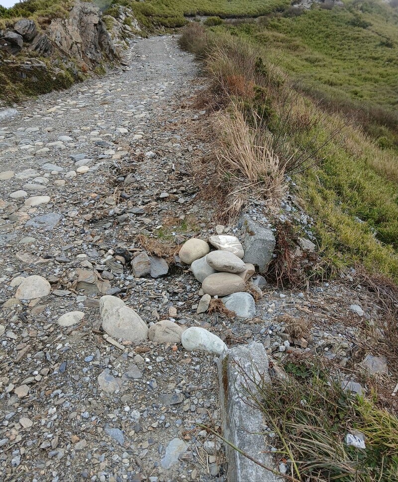 合歡主峰步道颱風受損-1_0_65f01.jpg